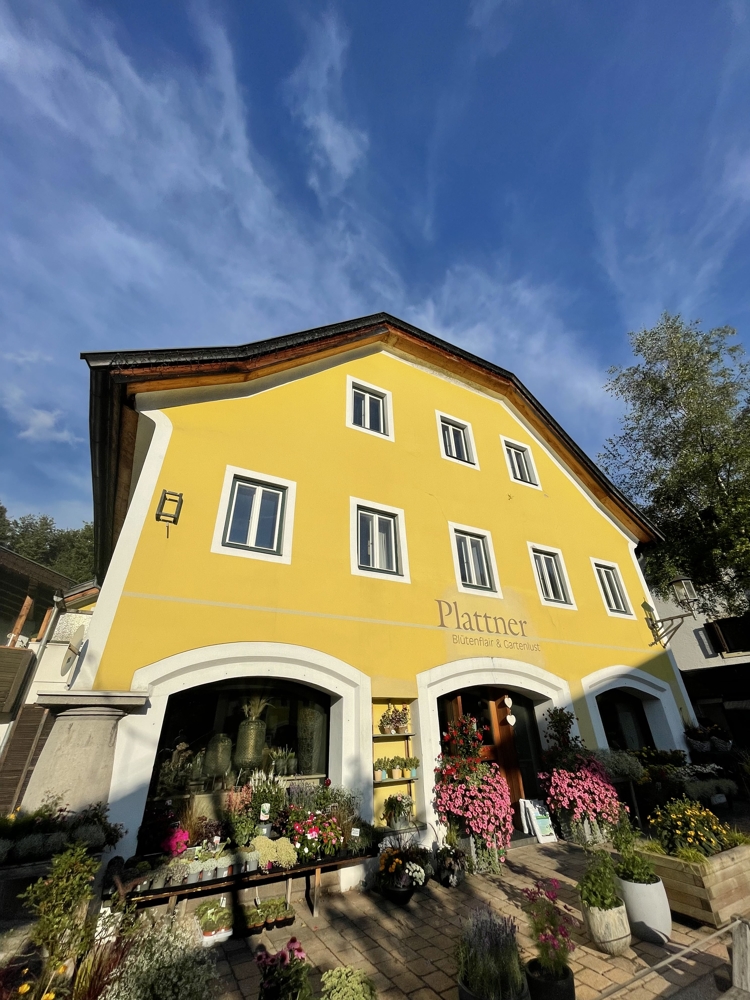 Apartmenthaus mit Geschäftsfläche im Zentrum von Fieberbrunn in Tirol